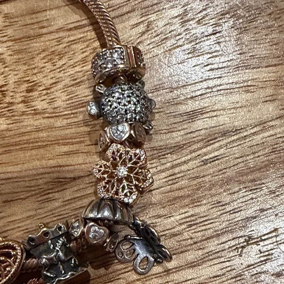 Pandora authentic bracelet & charms boho whimsical set - Picture 7 of 8